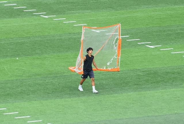 形成